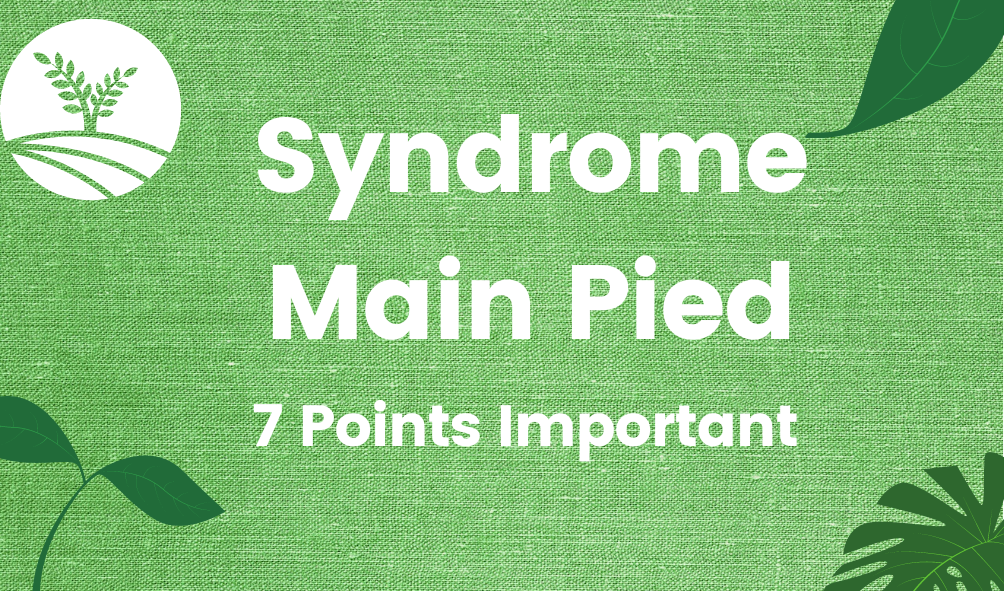 Syndrome Main Pied | 7 Points Important